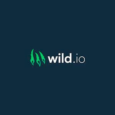 Wild.io Casino